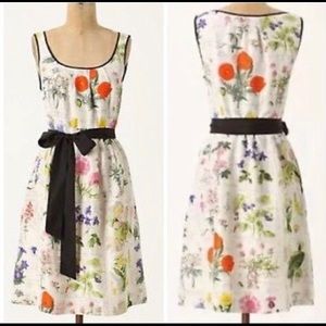 Anthropologie Tuileries Silk Dress Sz 2